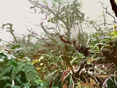 Roche Écrite